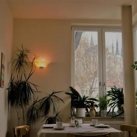 Hotelpension Am Dom بيت ضيافة إرفورت