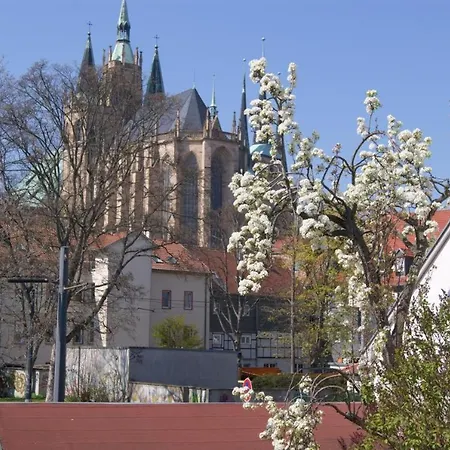 Hotelpension Am Dom Konukevi Erfurt
